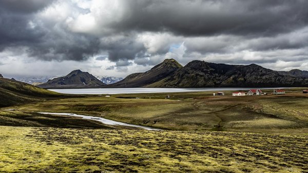 Exploring the Cutting-Edge Innovations in Robotic Surgery for Gynecological Procedures: A Guide for UK Surgeons